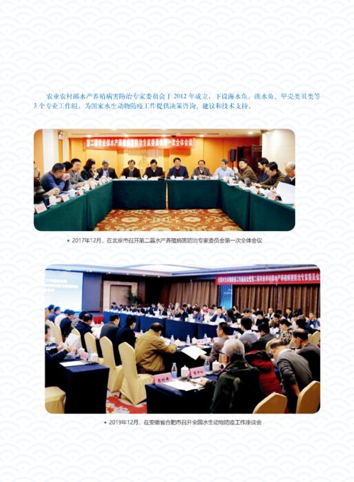 輝煌成就 水產(chǎn)技術(shù)推廣三十年回顧（第五期）——疫病防控、質(zhì)量安全與網(wǎng)絡(luò)技術(shù)服務(wù)的革新之路